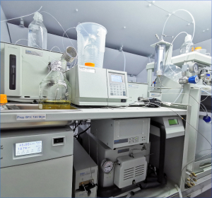 亚洲精品久久午夜无码一区二区