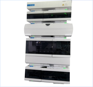 亚洲精品久久午夜无码一区二区