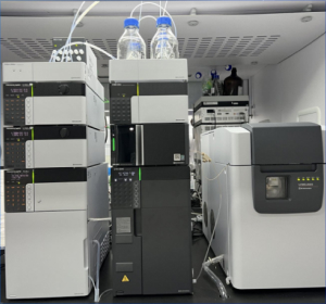 亚洲精品久久午夜无码一区二区