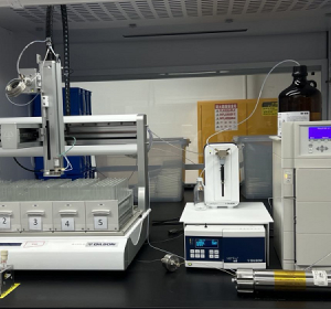 亚洲精品久久午夜无码一区二区