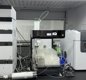 亚洲精品久久午夜无码一区二区