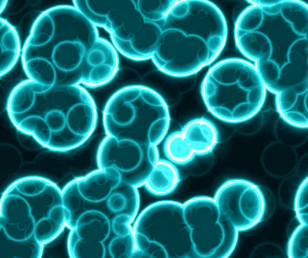 亚洲精品久久午夜无码一区二区