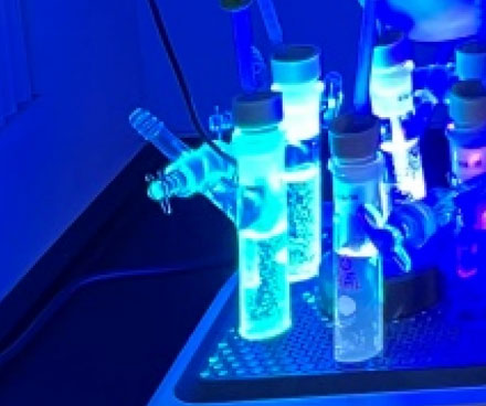 亚洲精品久久午夜无码一区二区