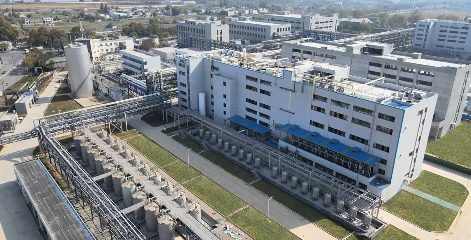 亚洲精品久久午夜无码一区二区