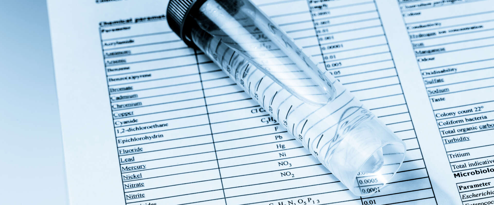 亚洲精品久久午夜无码一区二区