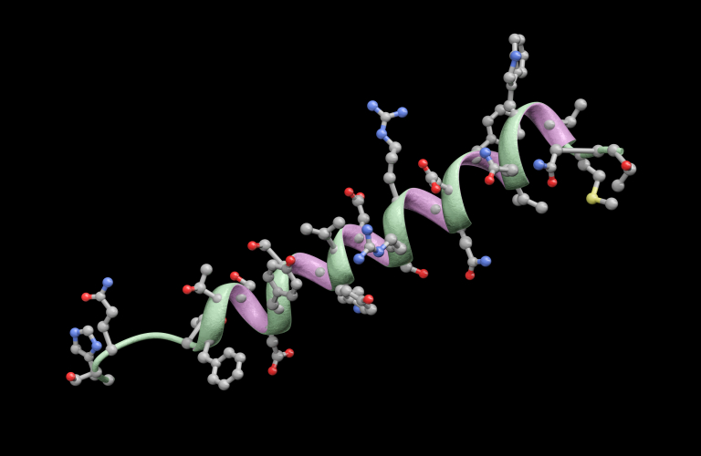 亚洲精品久久午夜无码一区二区