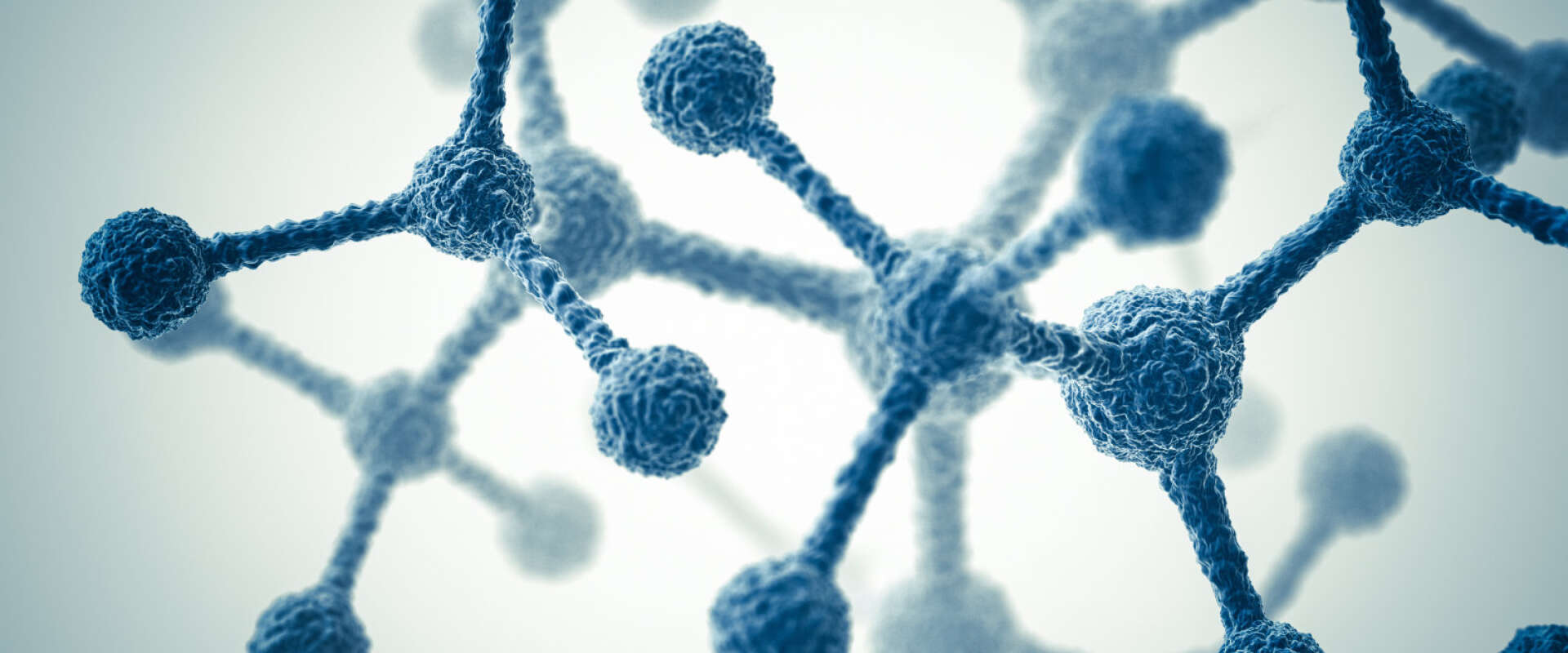 亚洲精品久久午夜无码一区二区