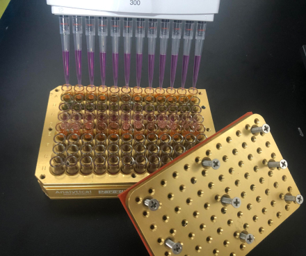 亚洲精品久久午夜无码一区二区