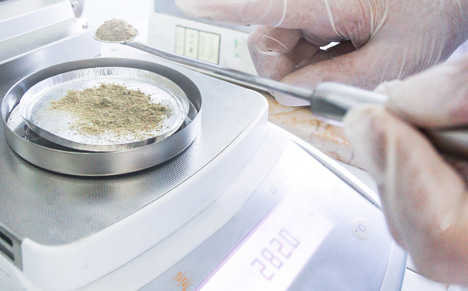 亚洲精品久久午夜无码一区二区