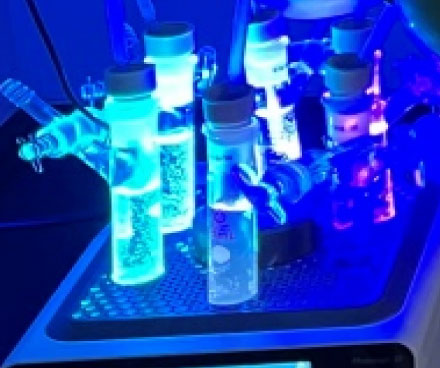 亚洲精品久久午夜无码一区二区