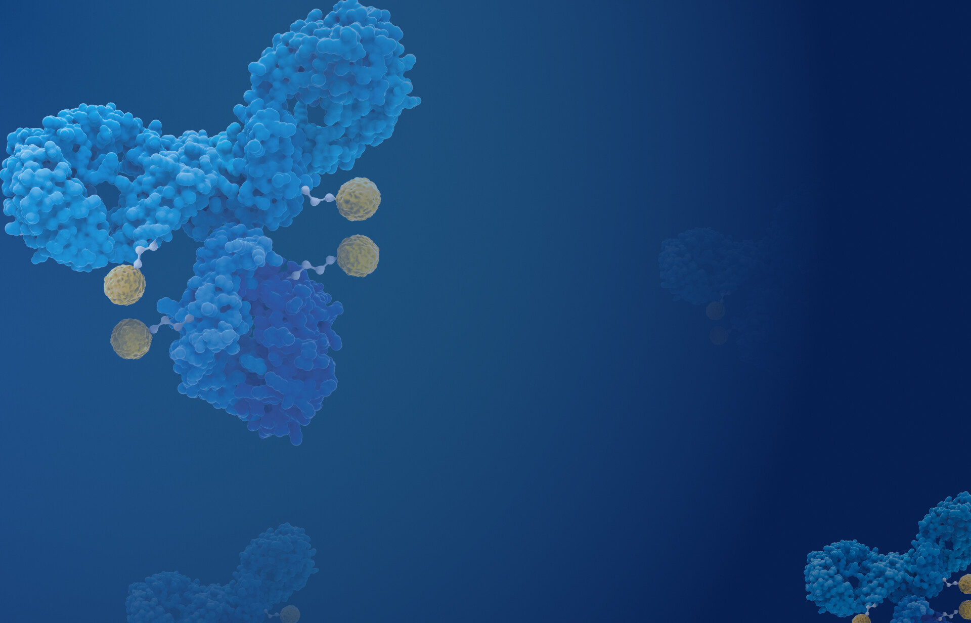 亚洲精品久久午夜无码一区二区