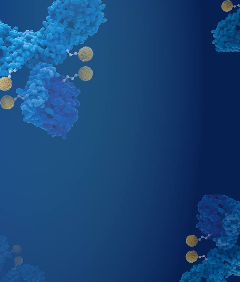 亚洲精品久久午夜无码一区二区