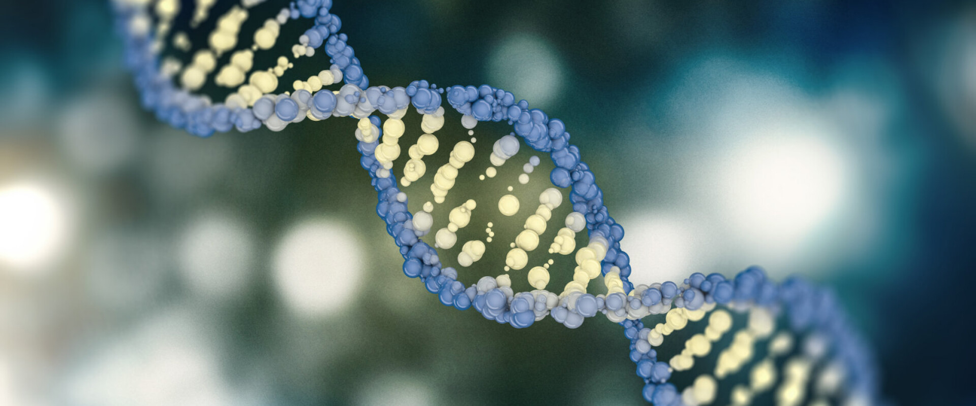 亚洲精品久久午夜无码一区二区