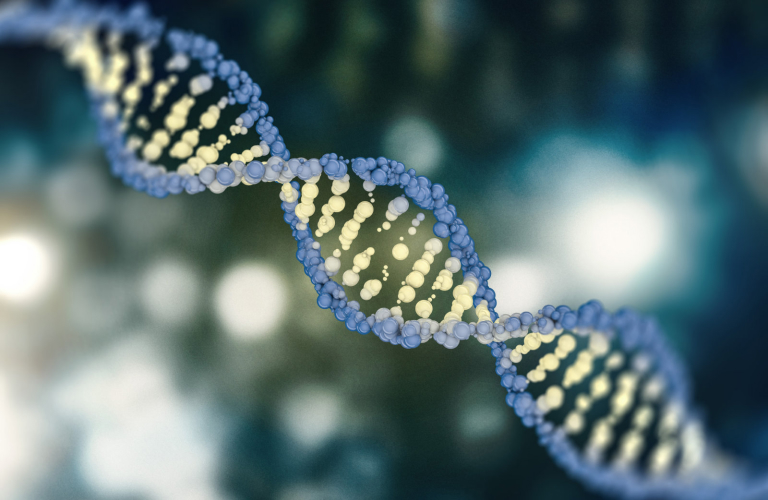 亚洲精品久久午夜无码一区二区