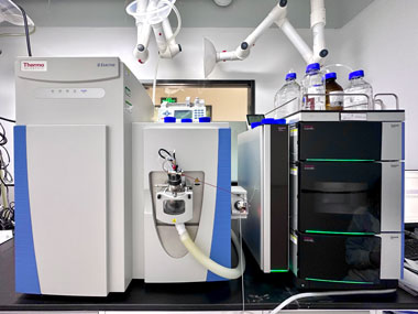 亚洲精品久久午夜无码一区二区