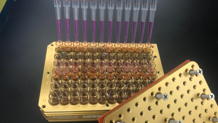 亚洲精品久久午夜无码一区二区