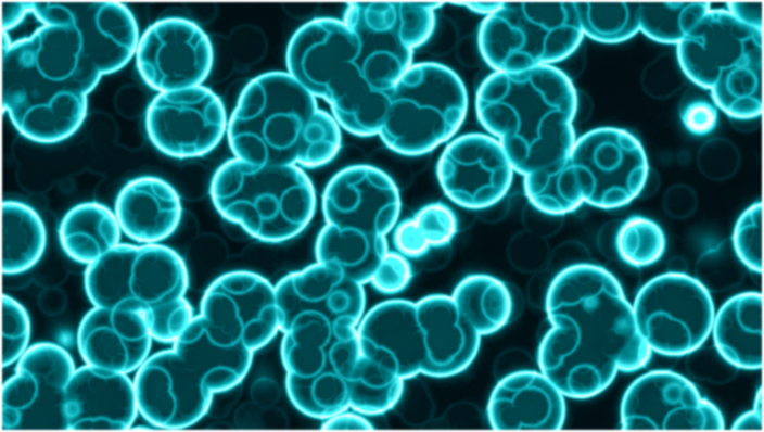 亚洲精品久久午夜无码一区二区