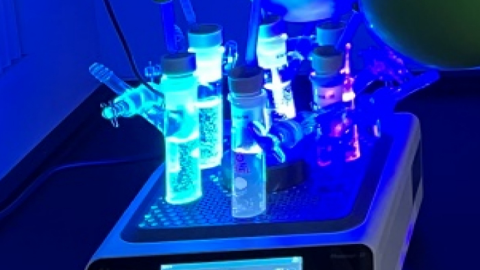 亚洲精品久久午夜无码一区二区