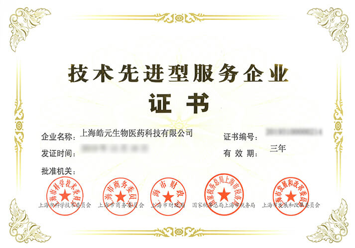 亚洲精品久久午夜无码一区二区