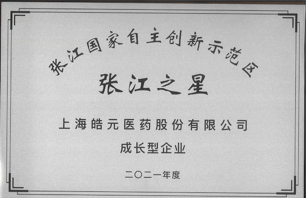 亚洲精品久久午夜无码一区二区