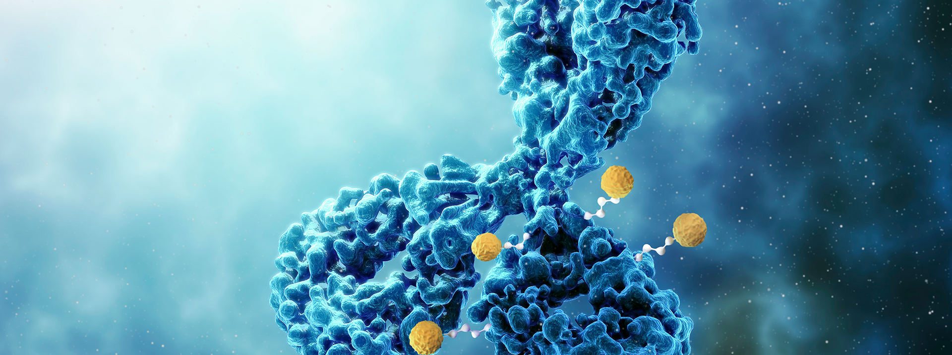 亚洲精品久久午夜无码一区二区