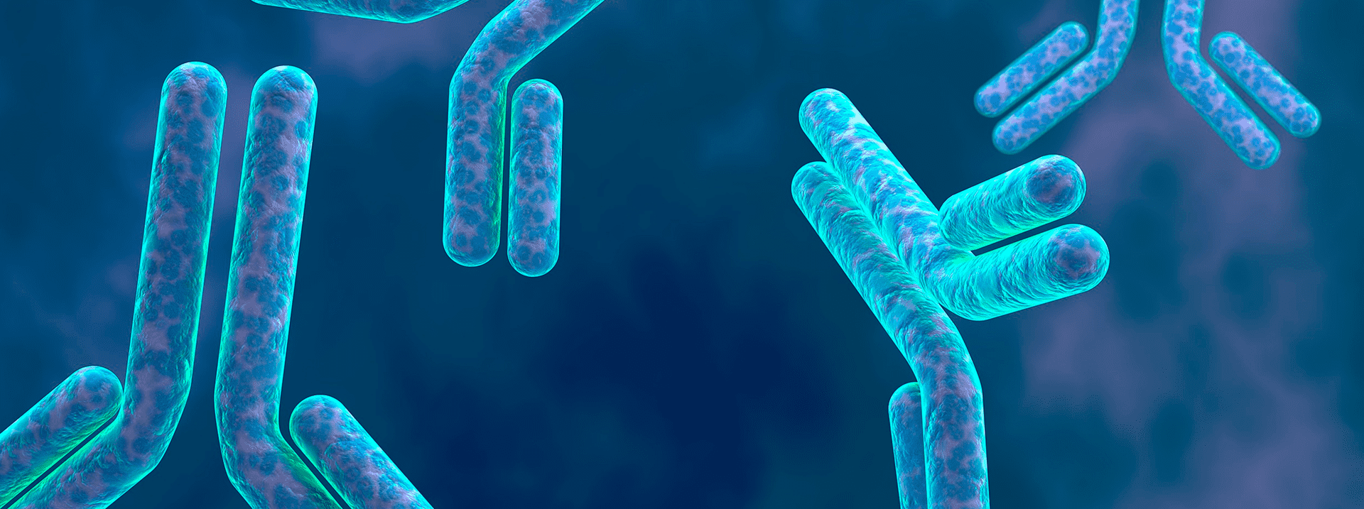 亚洲精品久久午夜无码一区二区