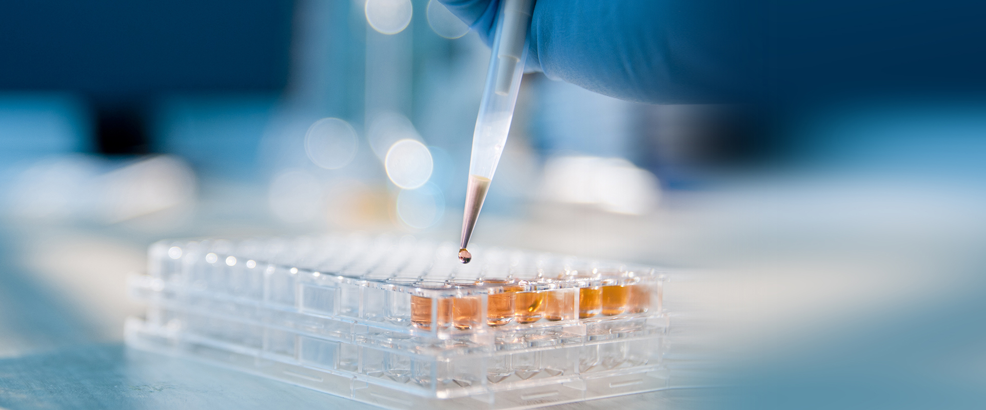 亚洲精品久久午夜无码一区二区