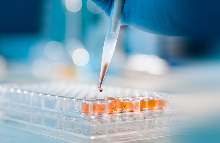 亚洲精品久久午夜无码一区二区