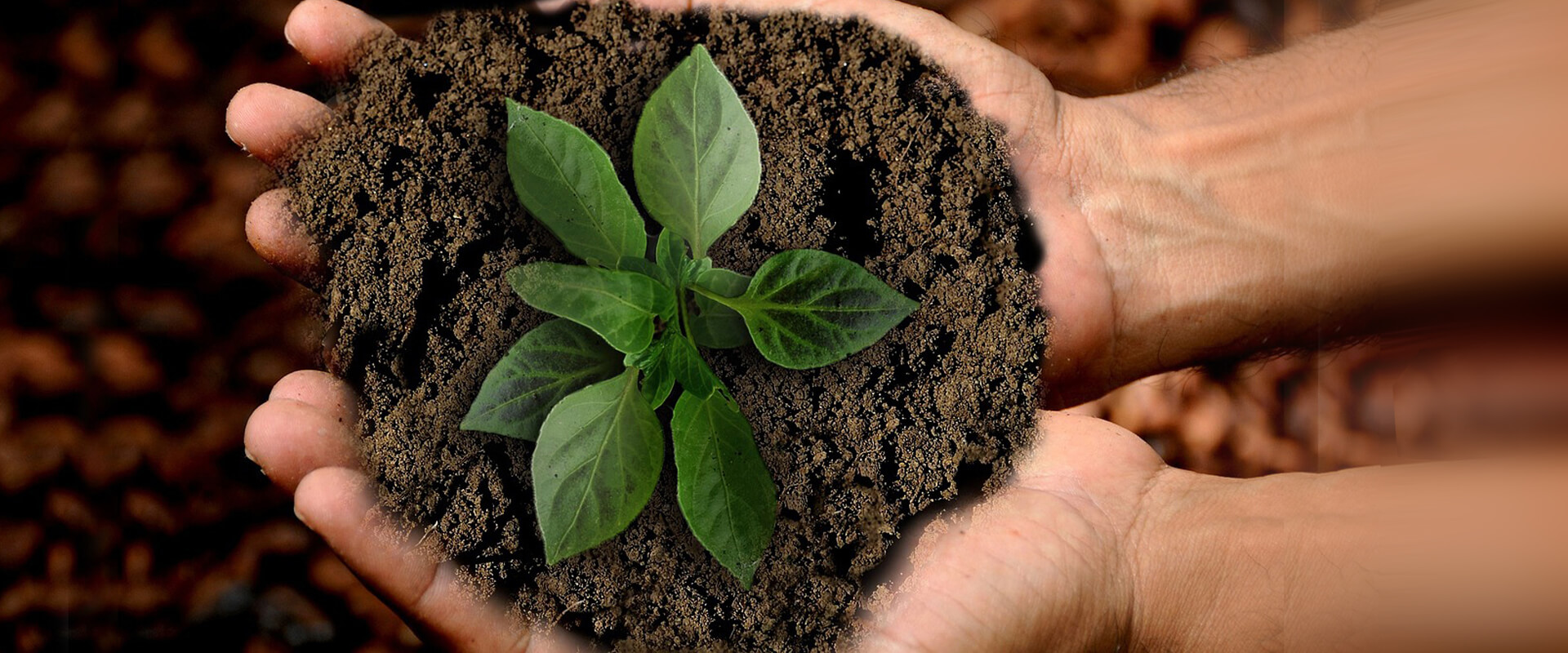 亚洲精品久久午夜无码一区二区