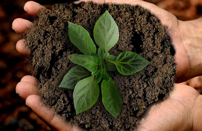 亚洲精品久久午夜无码一区二区